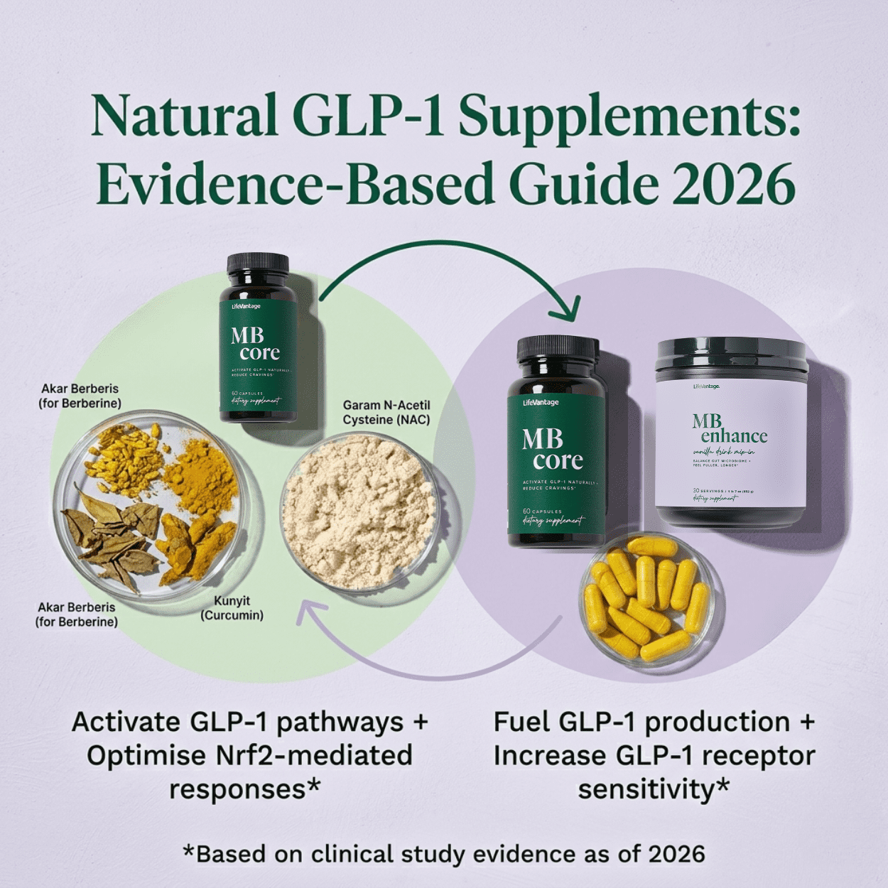 Natural GLP-1 Supplements – Evidence-Based Guide 2026